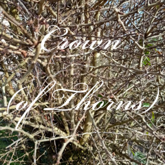 Crown (of Thorns)