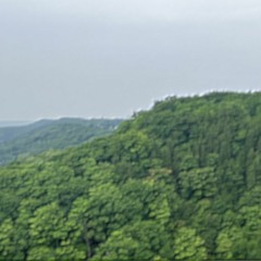 Spring Rain