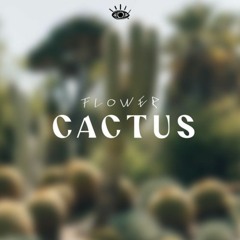 Geminay - Cactus (orvoir)