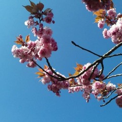 Blessing May You Walk.mp3