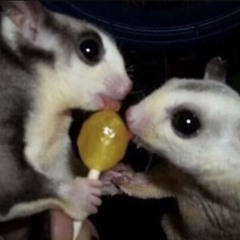 La distancia Demo.mp3