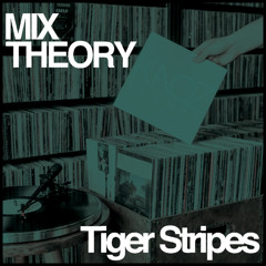 MIX THEORY 008 - Tiger Stripes