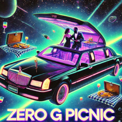 ZERO G PICNIC [VIP]