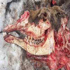 ceramic bmin 150 updated mix.wav