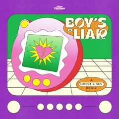 Boy's A Liar Pt. 2 (HOEST & Sev House Remix)