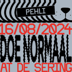 Doe Normaal: A Gathering For An Audiovisual Entertainment @ De Sering (16.08.24)