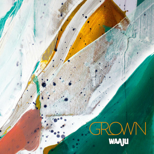 [PREMIERE] Waaju - Moleman (Olindo Records)