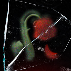 ВАЛЕНТИНКА СКАМРАЙЗУ