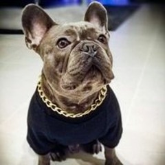 801pts - rick ross (prod. perc40 & boolymon)