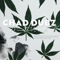 Mount Weed LP Showreel (OUT NOW via Bandcamp)
