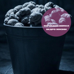 Крошка Енот