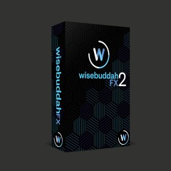 WisebuddahFX2 Demo 2020
