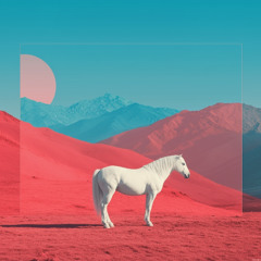 White Pony / თეთრი პონი (feat. MARTHA)