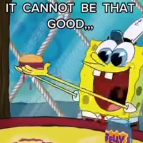 Never Had any Hawk Tuah, Never Will