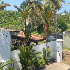 Música de la FIESTA (MASSACRE)