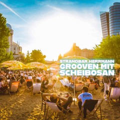 Strandbar Herrmann - Grooven w/ Scheibosan