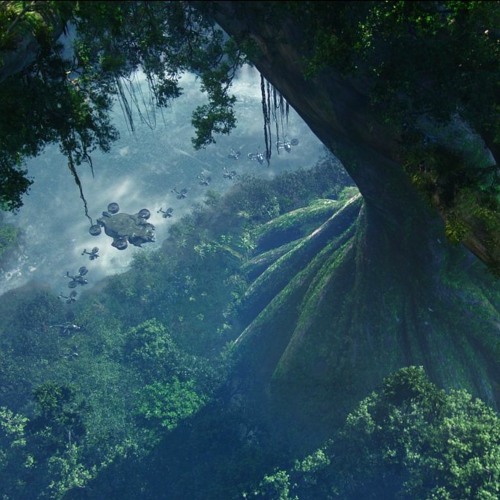 Stream Sublab Azaleh Maera Cut By Summer F Listen Online For Free