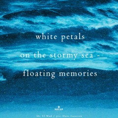 floating memories [naviarhaiku545]
