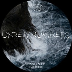 Premiere: UNREALNUMBERS - Unseen  (Varya Karpova Remix)