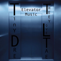 ELEVATOR MUSIC w/ Tiny Dre (prod. 1cedoubt)