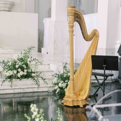 "A Thousand Years" by Christina Perri [TWILIGHT] - covered by SeikaHarp