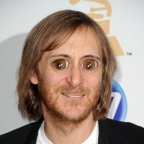 David Guetta Hardstyle