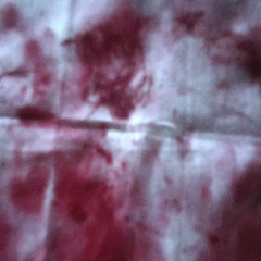 Blood (prod. by yshiree)