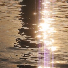 blissful lights