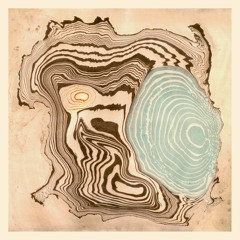 PREMIERE| Slow Moon - Cusp