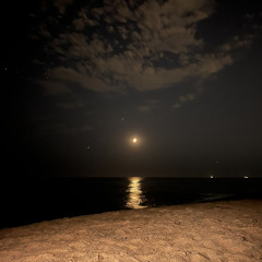 Sledge + Rome - No Accident [keenze]