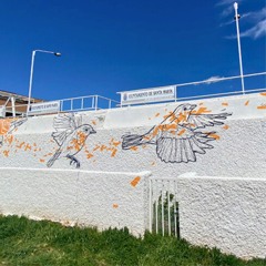 PASEO FLUVIAL-LECTURA FÁCIL