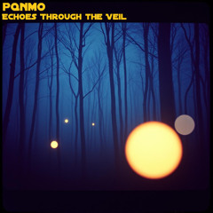 Echoes Through the Veil