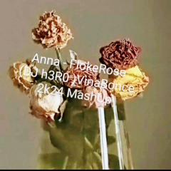 Anna - FlokeRose (dJ HER0 Vinabounce) 2k24