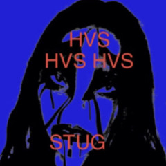 HVS - WANHXXP