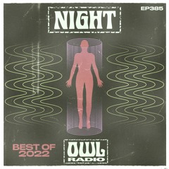 Night Owl Radio 385 ft. Best of 2022 Mixtape