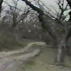 証拠5