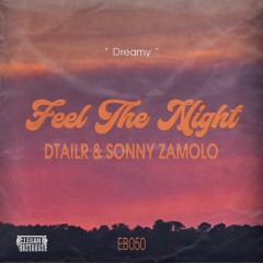 DTAILR, Sonny Zamolo - Feel The Night