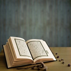 القارئ وديع اليمني :: ترتيل عراقي  :: سورة النبأ