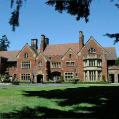 paintourr bestiei ynx