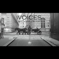 Beethoven Violinkonzert 2. mvmt.