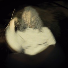 ay3demi - little creek