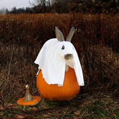 Nostalgic - How You Walkin (Jreedo Diss)