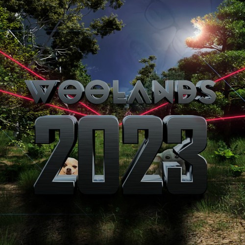 BiG WOOLANDS 2023 Drum & Bass Mix