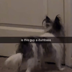 shitty demo number uhhhh