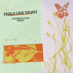 Feels Like Woah