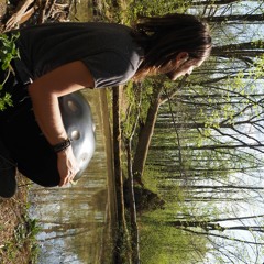 handpan Jam D Kurd in the Forrest