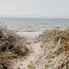 I Wonder What They're Doing Now [Demo]