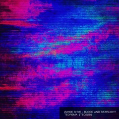 2wice Shye - Stillness Beneath [TE0226]