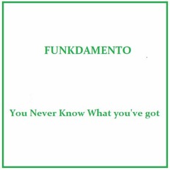 Funkdamento - You Never Know What You've Got