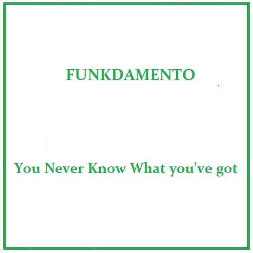 Funkdamento - You Never Know What You've Got
